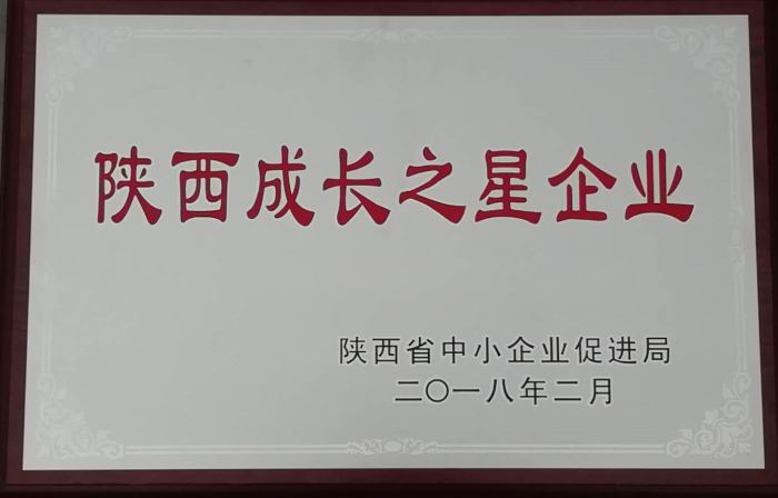 2018年度陜西成長(cháng)之星企業(yè)
